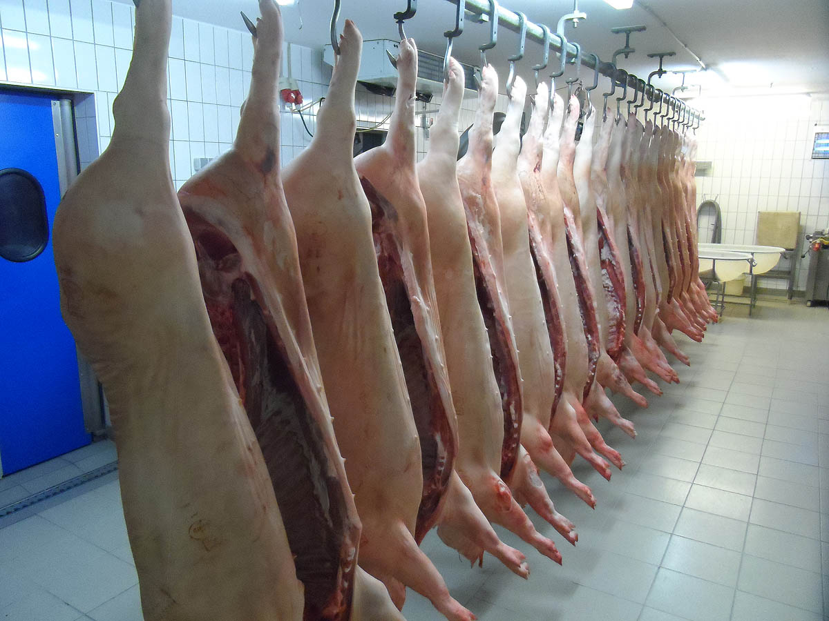 schweinehaelften
